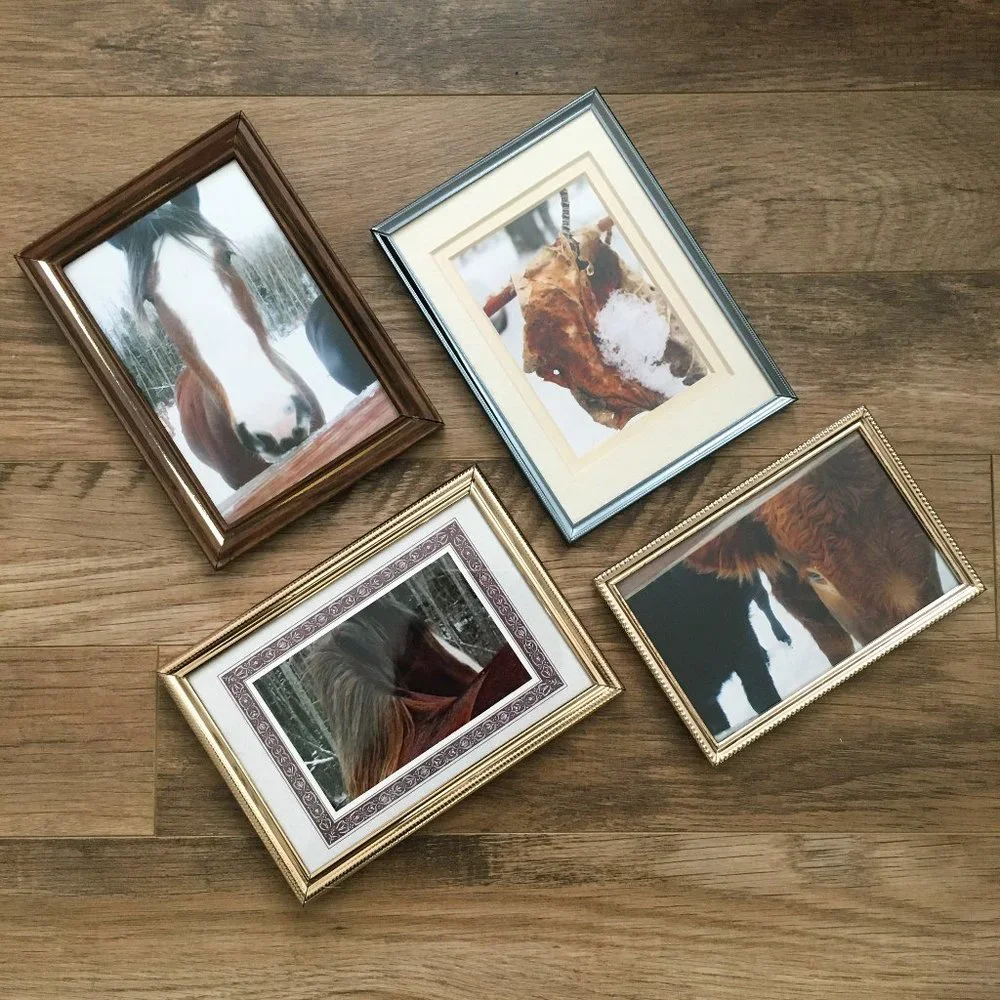 Set of 4 Vintage Equestrian Metal Frames + Horse Photography Dark Academia Decor - Picture 1 of 15